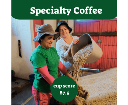 specialty coffee