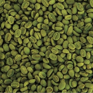 פולי קפה ירוק קולומביה סופרימו | 1 ק''ג
