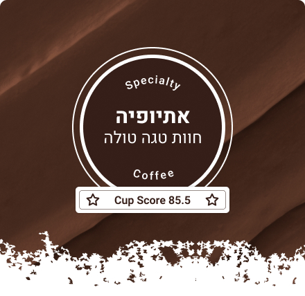 פולי קפה אתיופיה חוות טגה טולה