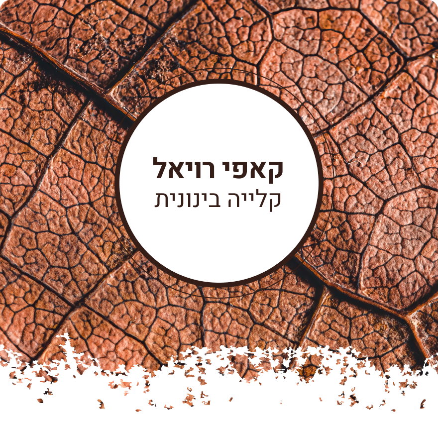 פולי קפה קאפי רויאל רובוסטה