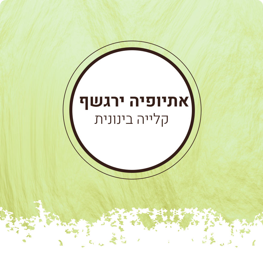 קפה אתיופיה יירגשף | קלייה בינונית