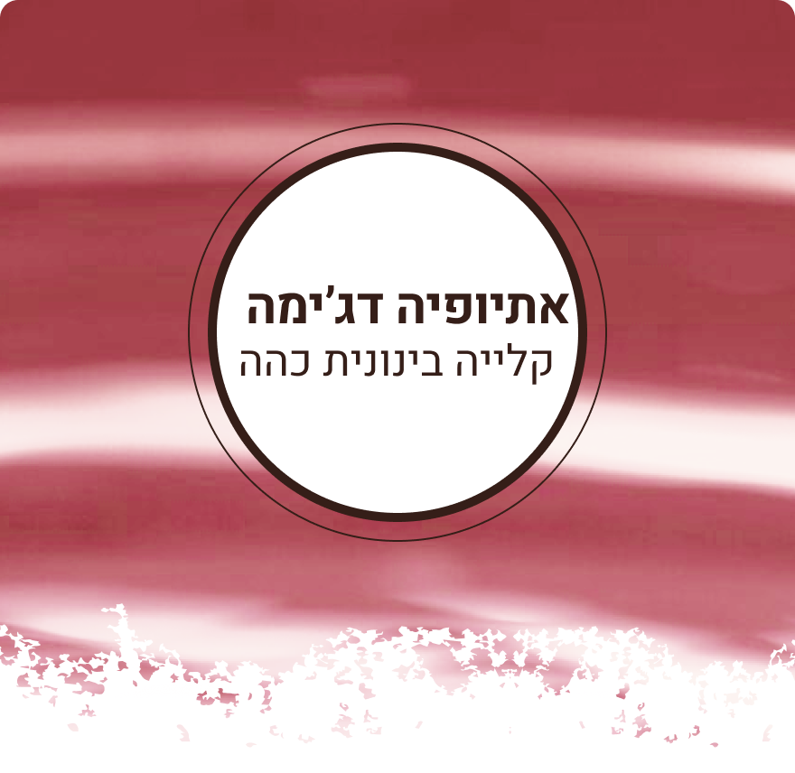 פולי קפה אתיופיה דג’ימה | קלייה בינונית כהה