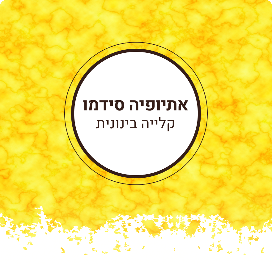 פולי קפה אתיופיה סידמו | קלייה בינונית