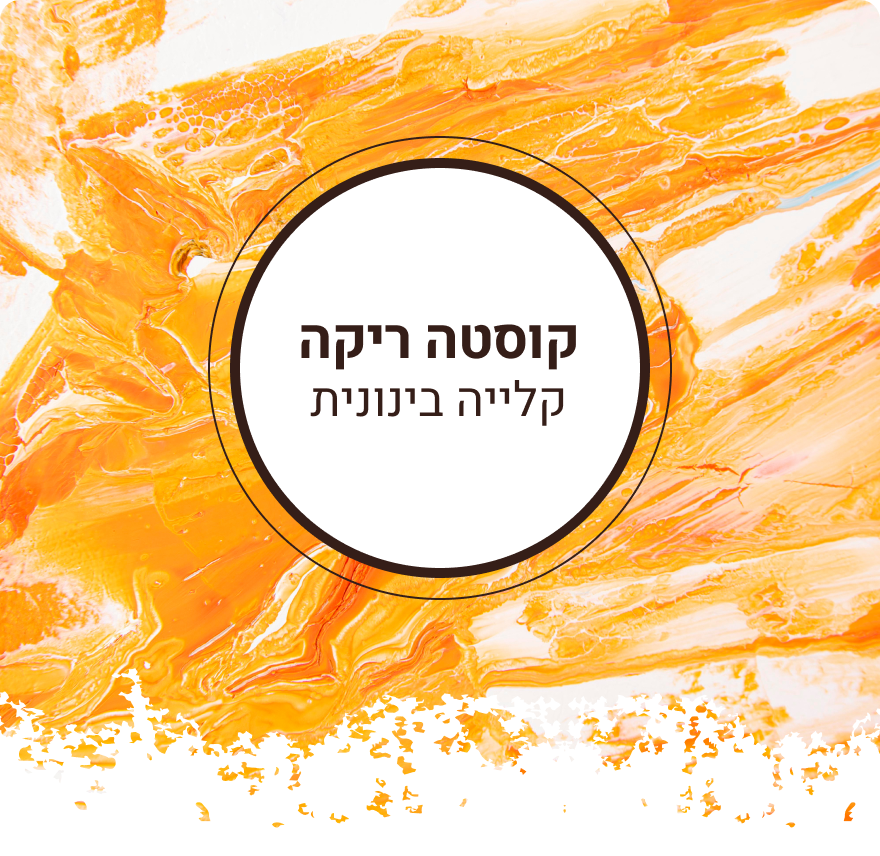 פולי קפה קוסטה ריקה | קלייה בינונית