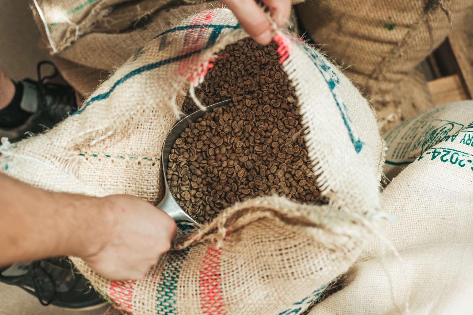 Read more about the article בית הקלייה – הסודות מאחורי כוס הקפה המושלמת שלך