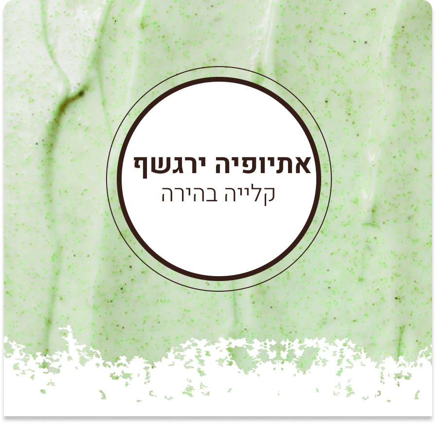 קפה אתיופיה יירגשף | קלייה בהירה