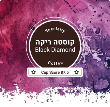 קוסטה בלאק דימונט