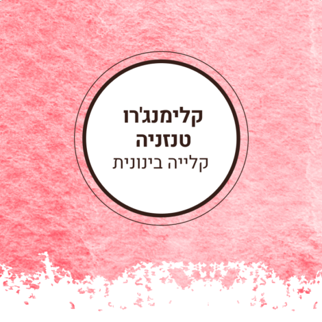 קלימנג'רו קלייה ה בינונית