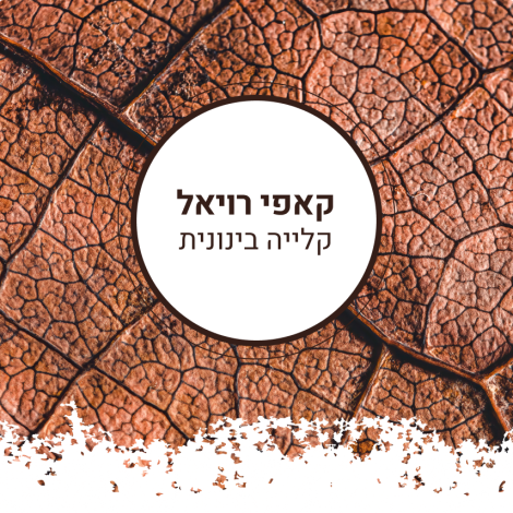 קאפי רויאל  בינוני