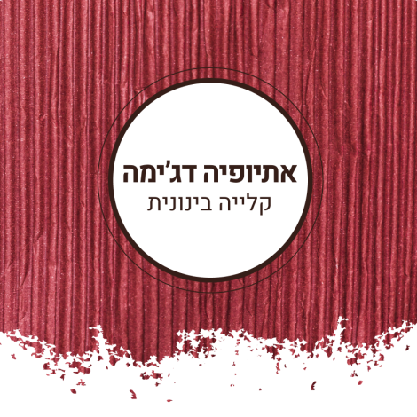 אתיופיה דג'מה בינוני