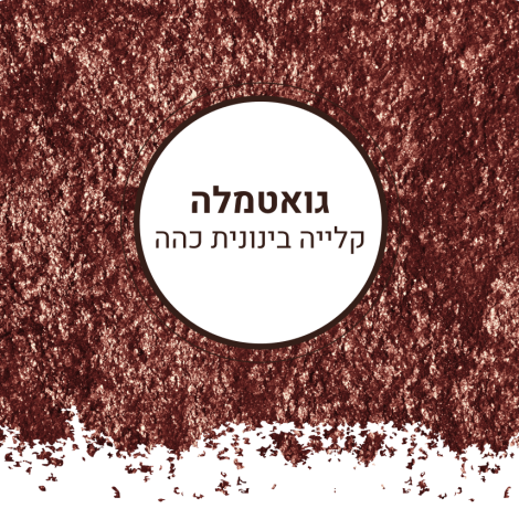 גואטמלה ב כהה