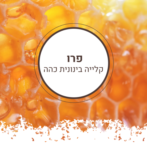 פרו קלייה בינונית כהה