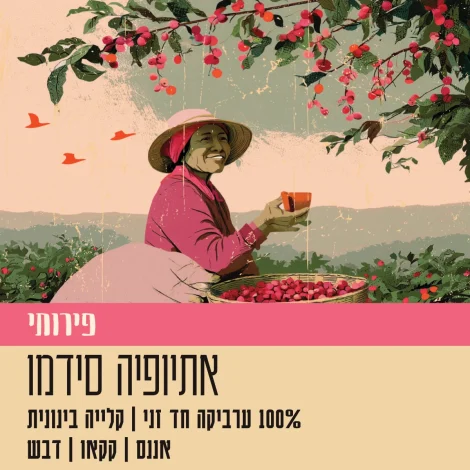 ethiopia-sidamo-fruity-web