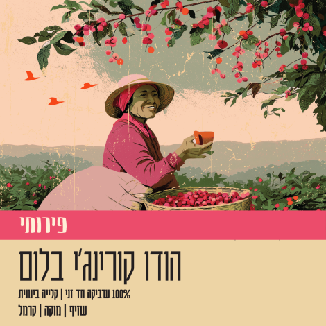 הודו קורנג'י בלום קלייה בינונית